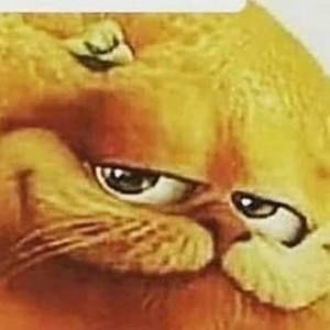 Meet your Posher, Avery